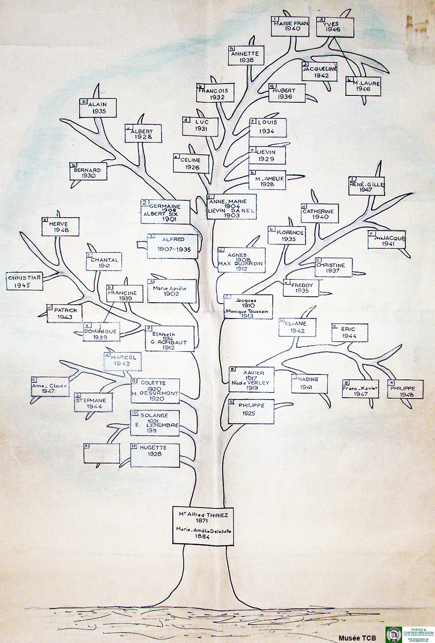 Arbre généalogique Alfred THIRIEZ-DELESALLE