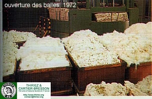 Document du fonds du musée TCB