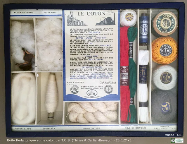 Boîtes pédagogiques sur le Coton