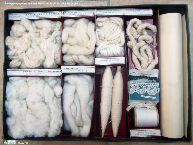 Boîtes pédagogiques sur le Coton